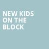 New Kids On The Block, Etess Arena at Hard Rock and Hotel Casino, Atlantic City